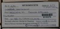 Image Associated With the Occurence